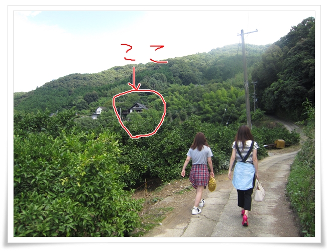 富夢想野 トムソーヤ 海南市 ランチ 対向車でピンチ 大自然の中でのランチ